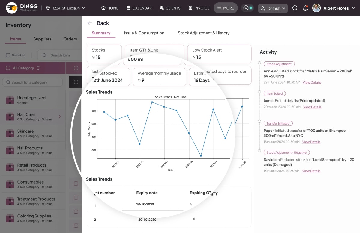 Predictive_Analytics_&_Business_Insights_DINGG