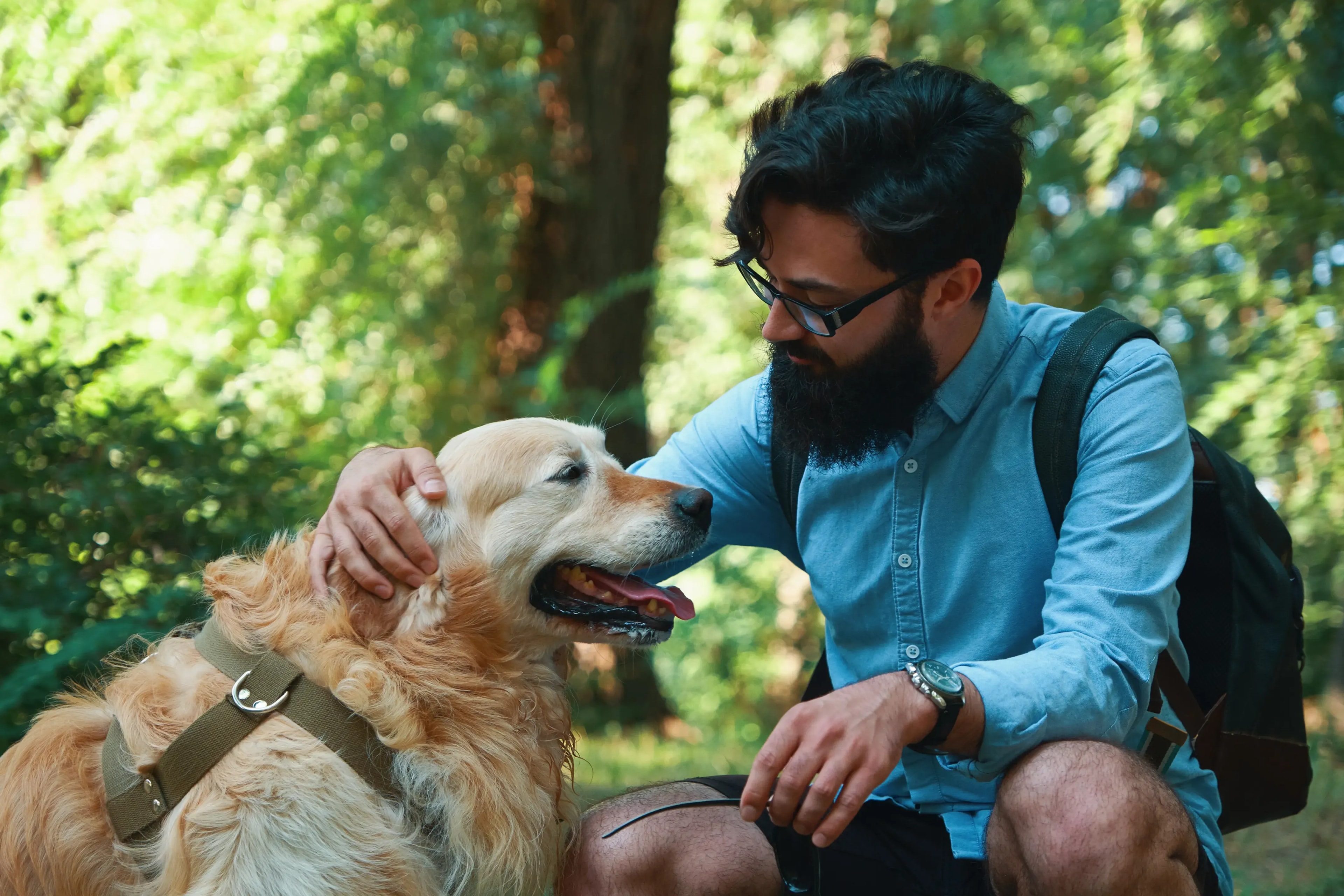 How_Indian_Pet_Salons_Dominate_Google_Maps_and_Local_Search_DINGG