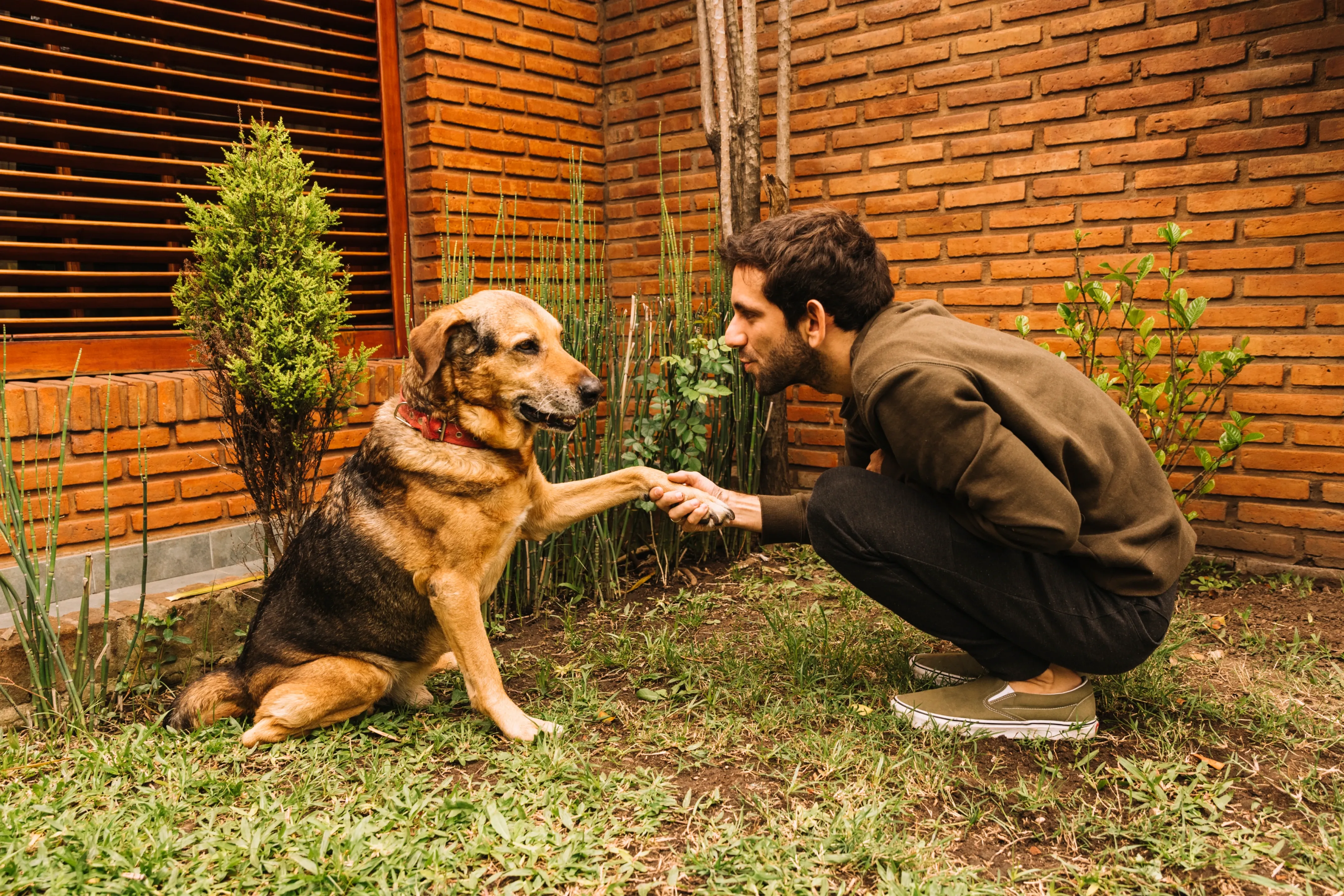 5_Must_Have_Local_Collaborations_for_Pet_Salons_in_India_DINGG