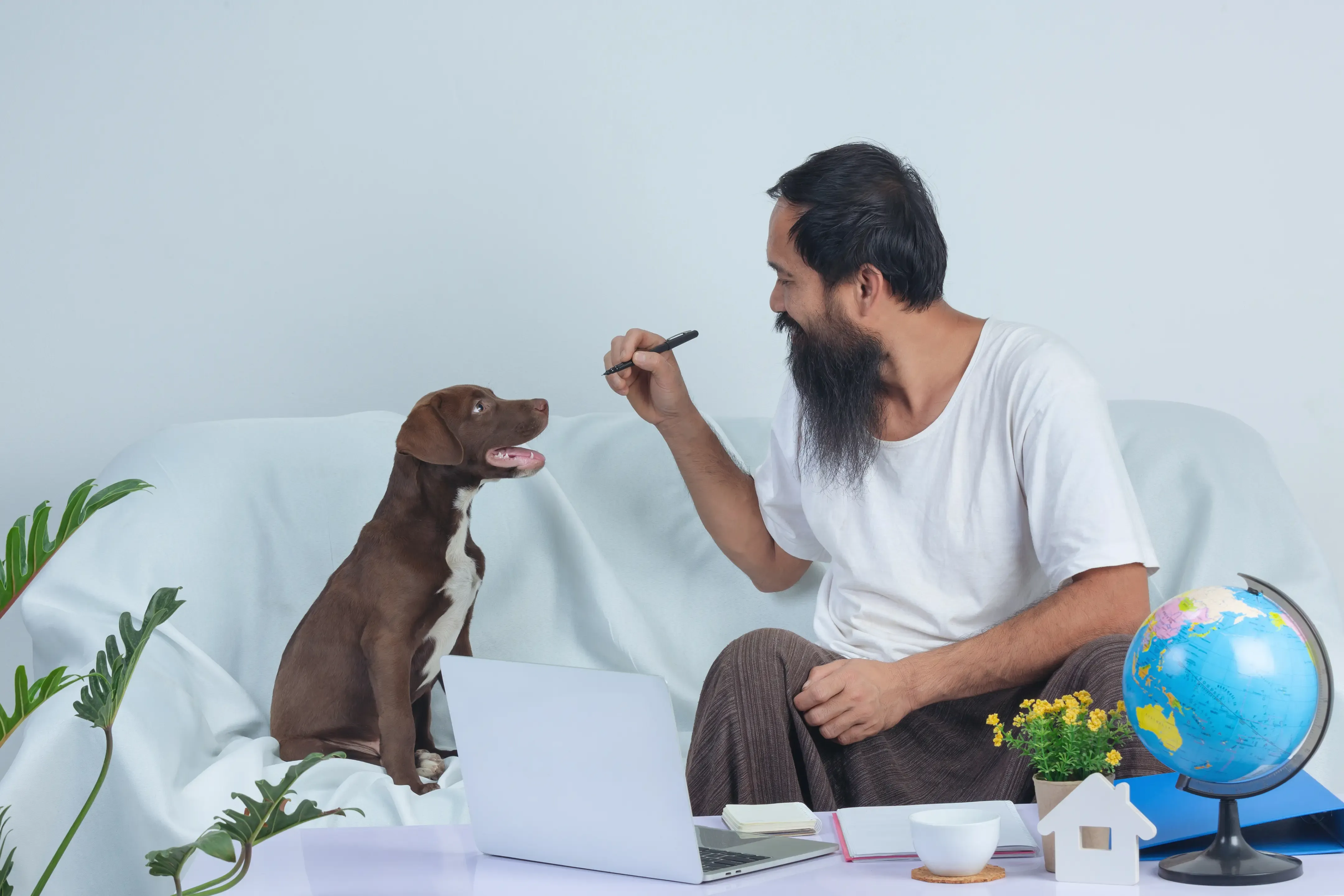 Stop_Buying_Followers_Authentic_Social_Media_Strategies_for_Indian_Pet_Groomers_DINGG